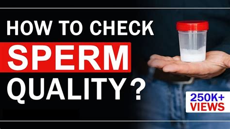 voll sperma|how to check sperm volume.